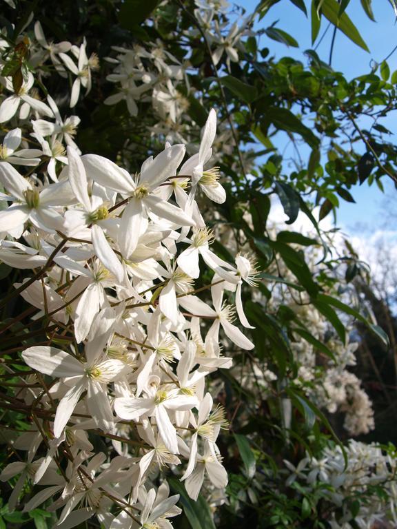 Gite Au Jardin Meilhan-sur-Garonne Pokoj fotografie