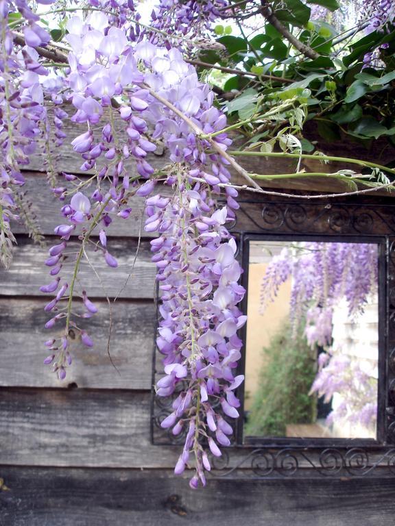 Gite Au Jardin Meilhan-sur-Garonne Pokoj fotografie