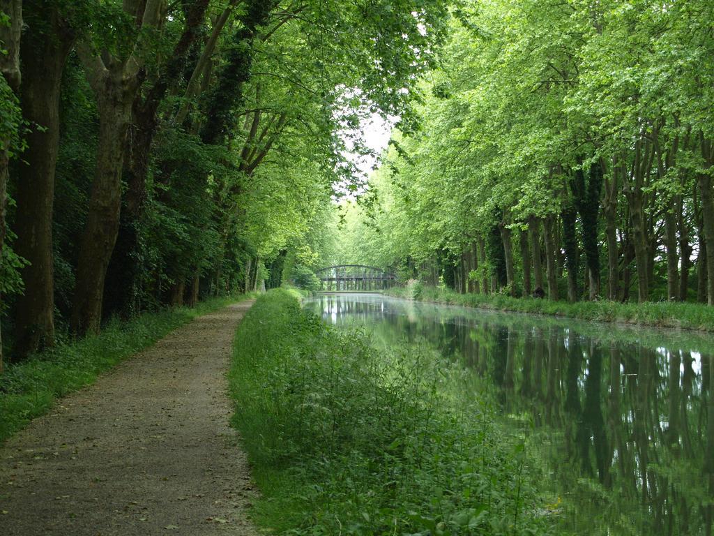 Gite Au Jardin Meilhan-sur-Garonne Pokoj fotografie