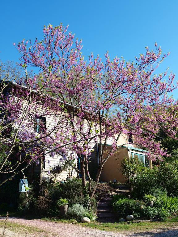 Gite Au Jardin Meilhan-sur-Garonne Pokoj fotografie