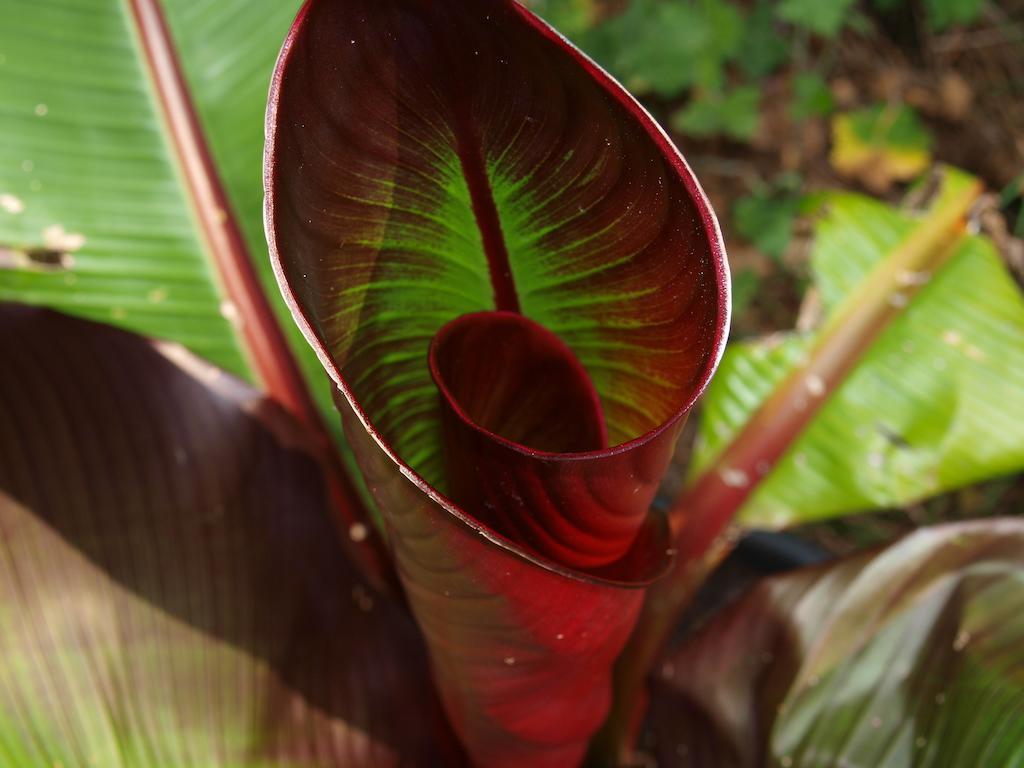 Gite Au Jardin Meilhan-sur-Garonne Pokoj fotografie