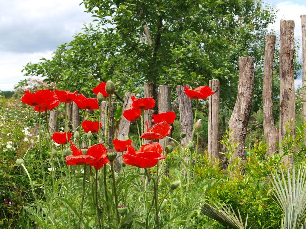 Gite Au Jardin Meilhan-sur-Garonne Pokoj fotografie