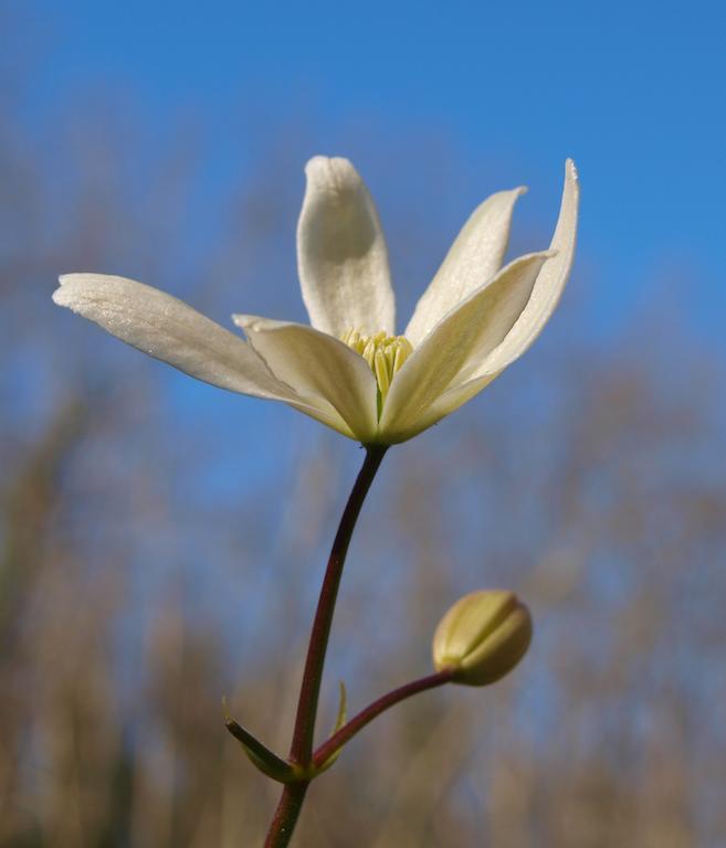 Gite Au Jardin Meilhan-sur-Garonne Pokoj fotografie