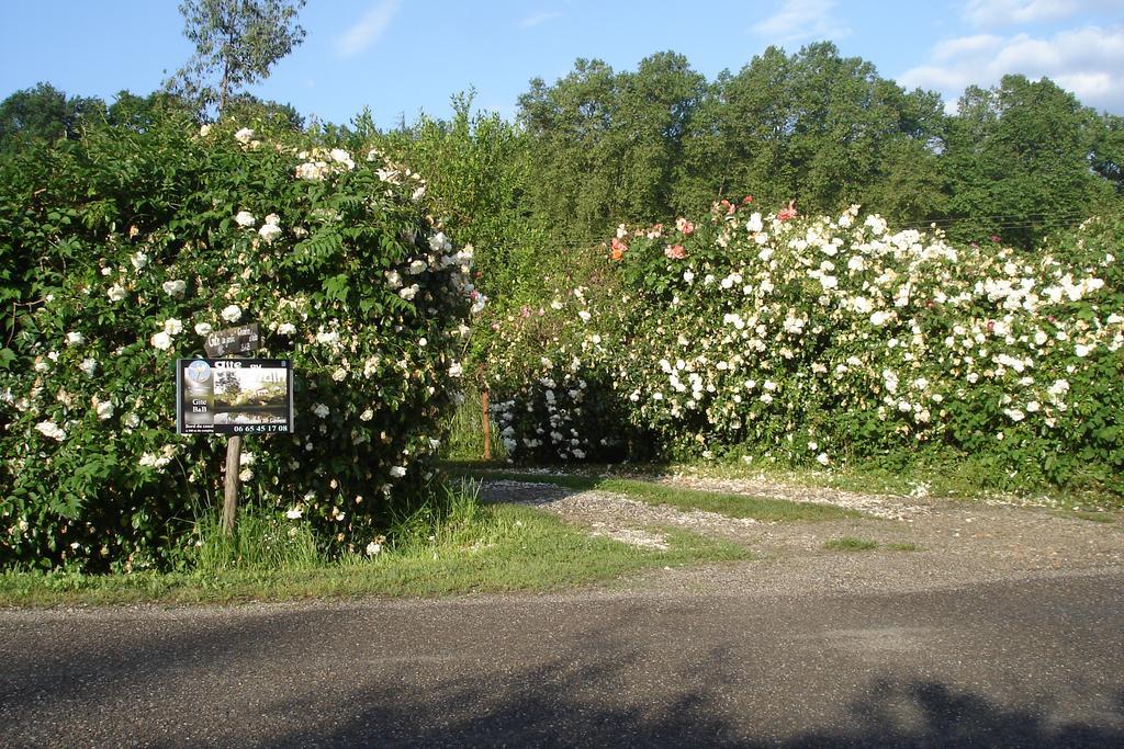 Gite Au Jardin Meilhan-sur-Garonne Exteriér fotografie