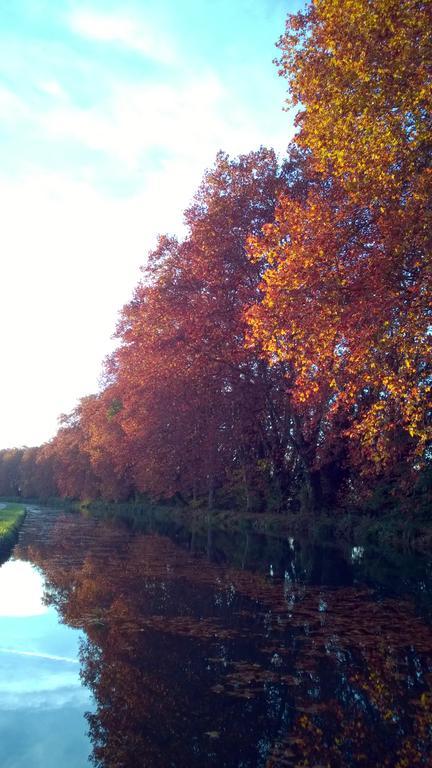 Gite Au Jardin Meilhan-sur-Garonne Exteriér fotografie