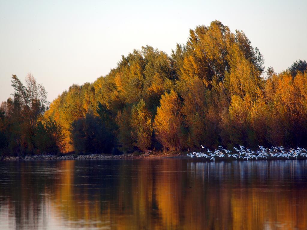 Gite Au Jardin Meilhan-sur-Garonne Exteriér fotografie